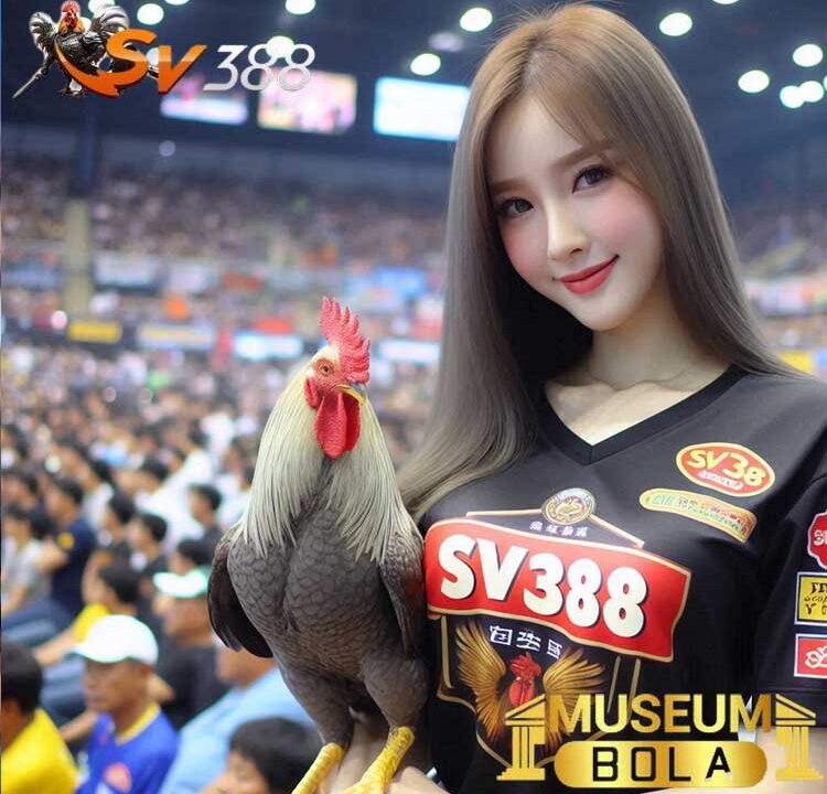 Menguasai Strategi Efektif Sabung Ayam di Museumbola