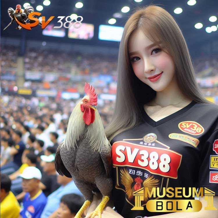 Menguasai Strategi Efektif Sabung Ayam di Museumbola