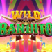 Wild Bandito