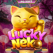 lucky neko